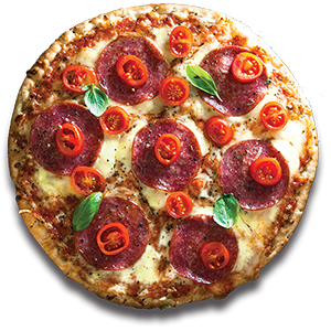 Pizza_circle (1)